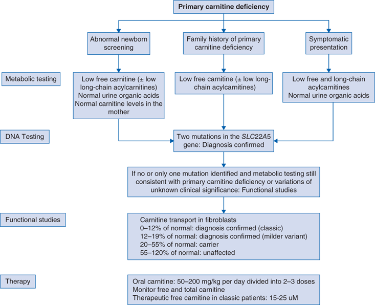 symptoms of l carnitine deficiency 96: Primary Carnitine Deficiency