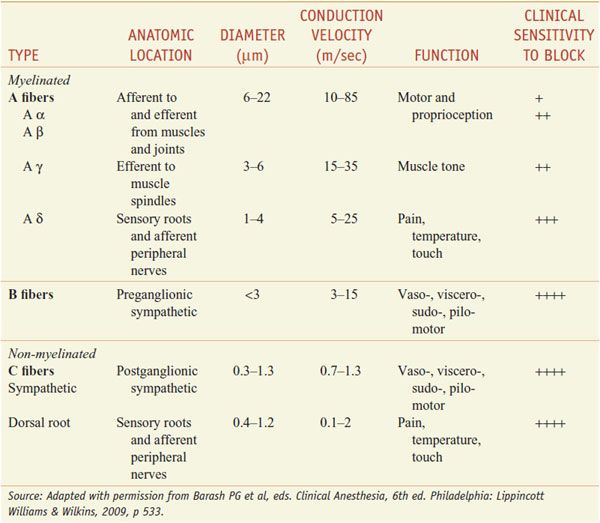 Adrenergic Agonists and Antagonists | Basicmedical Key