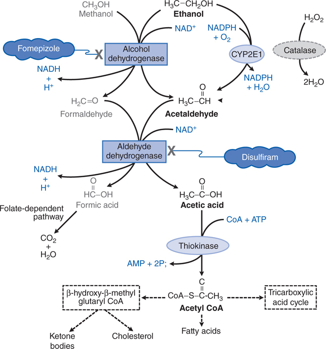 Signs and symptoms may be dif. Clinical and Environmental Toxicity | Basicmedical Key