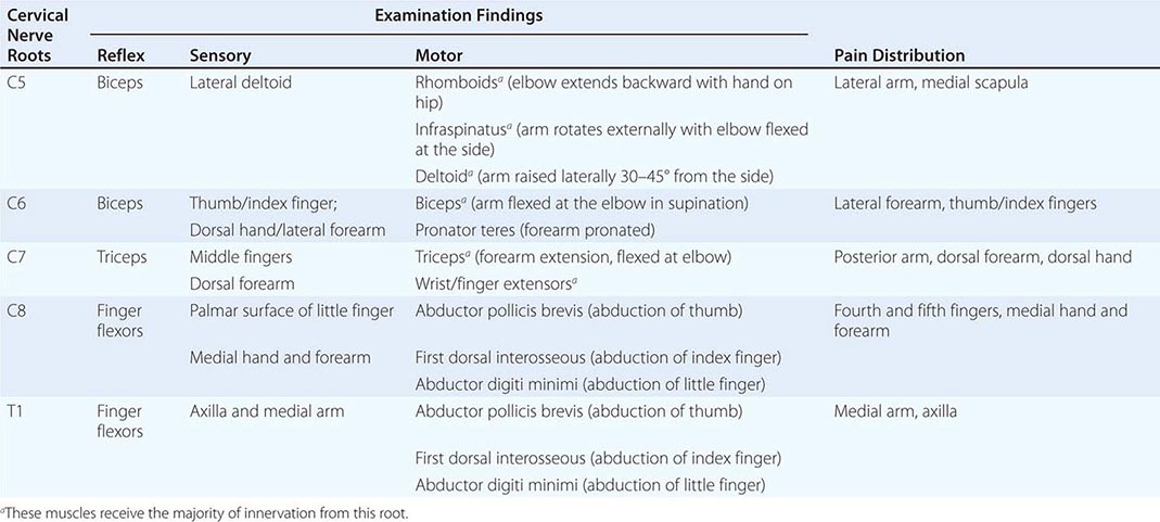 Fever | Basicmedical Key