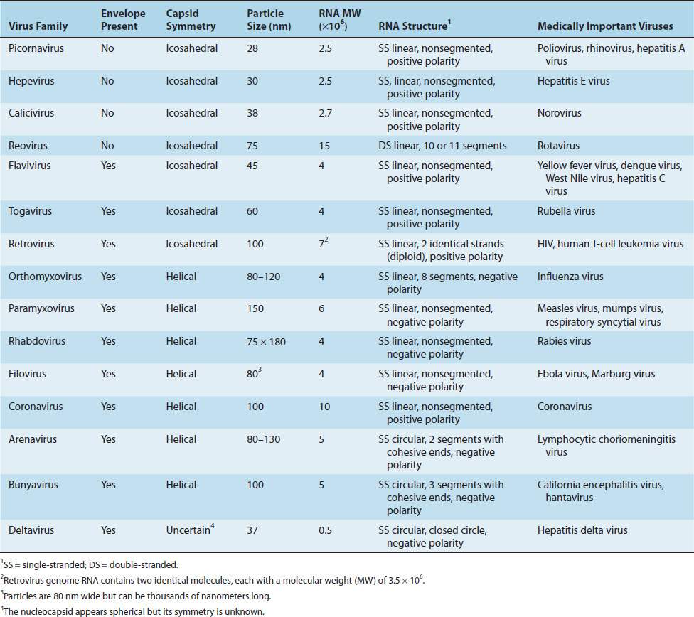 Classification of Medically Important Viruses Basicmedical Key