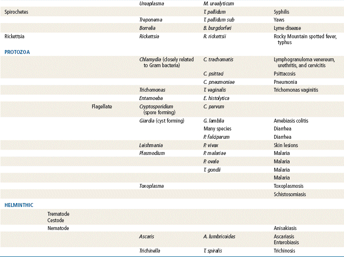 Principles for Prescribing Antiinfectives | Basicmedical Key