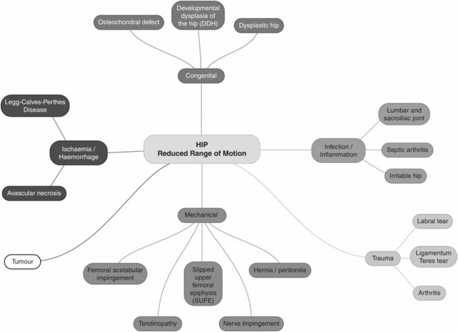 Examination of the hip | Basicmedical Key