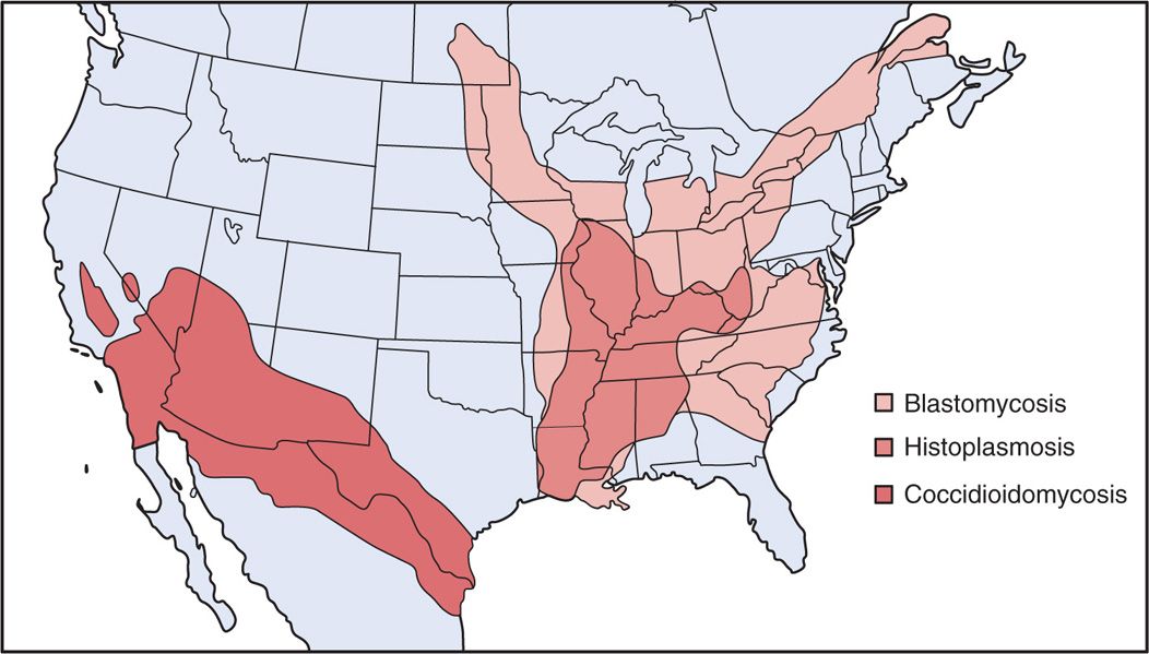 The Fungus Among Us Map A Seasonal Guide Image01892 