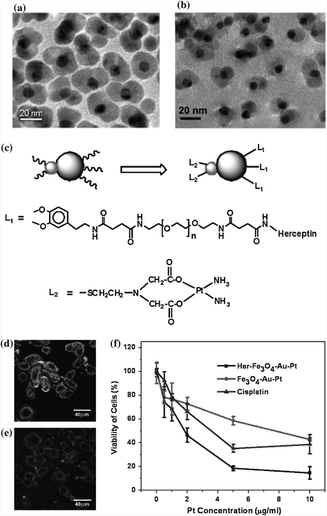 Magnetic Nanoparticles for Biomedical Applications: From Diagnosis to ...
