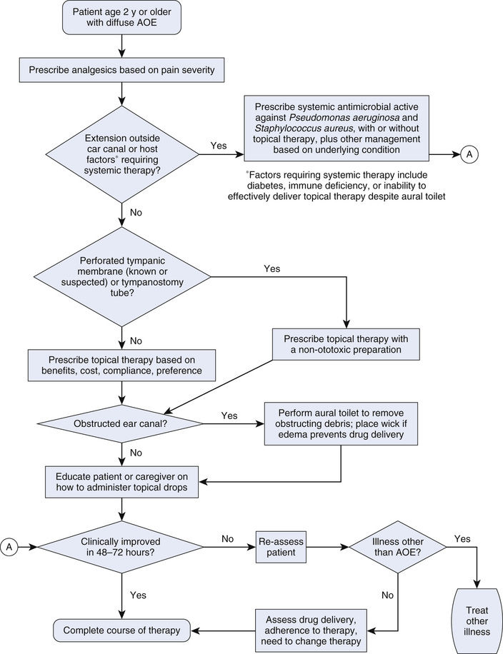 Drugs for the Ear Basicmedical Key
