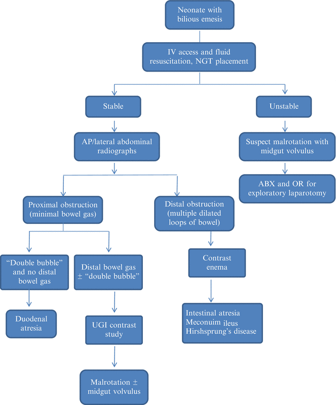 Newborn with Bilious Emesis Basicmedical Key