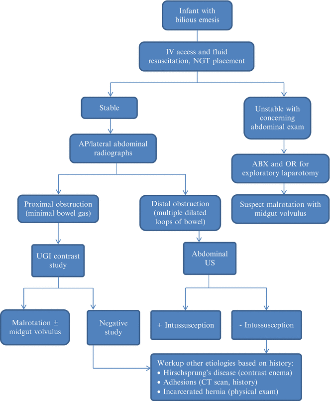 A313183_1_En_32_Fig2_HTML.gif