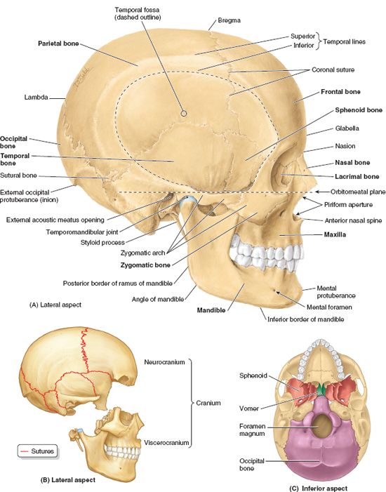 images