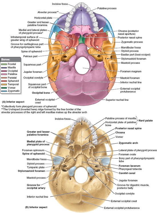 images