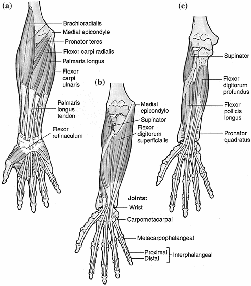 A114622_2_En_5_Fig23_HTML.gif