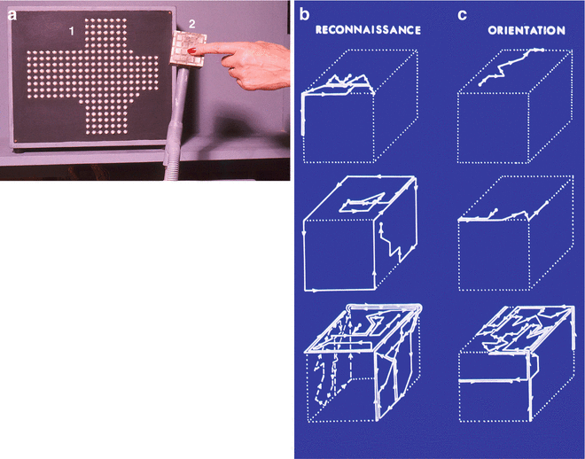 A316734_1_En_4_Fig2_HTML.gif