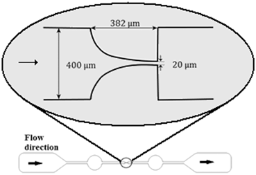 A329170_1_En_7_Fig1_HTML.gif