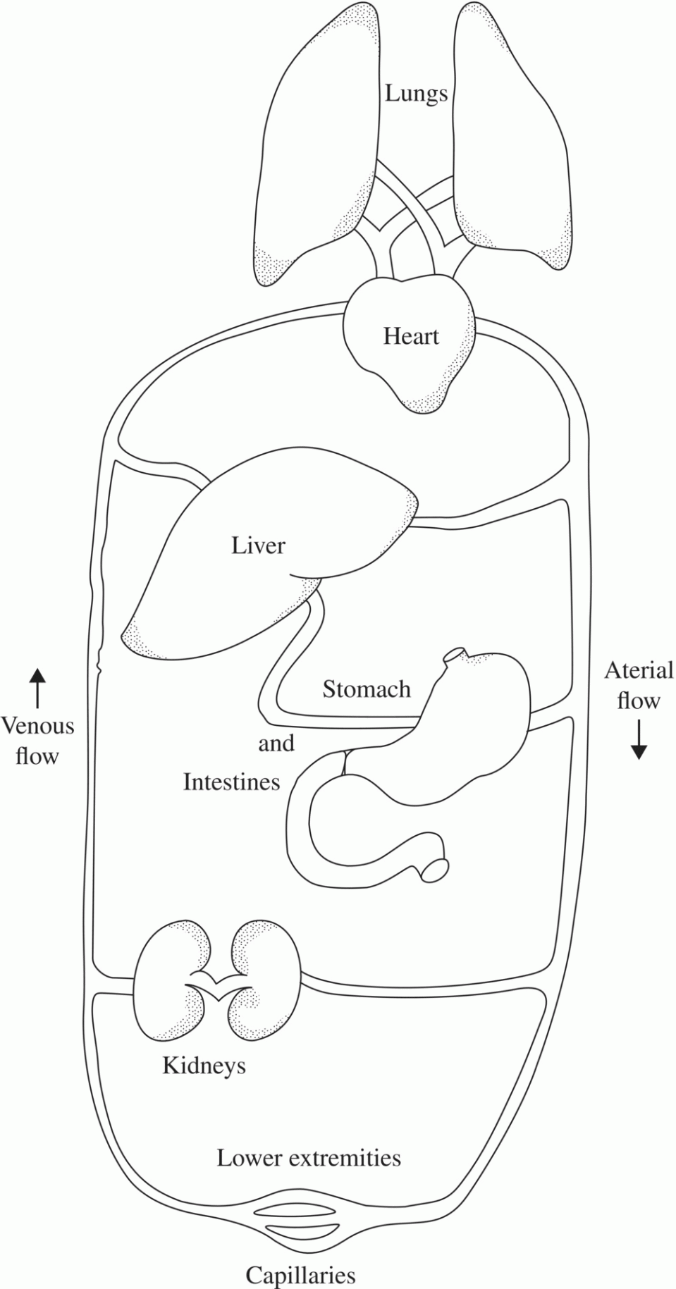 c6-fig-0001