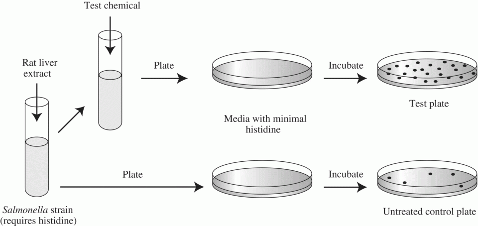 c14-fig-0005