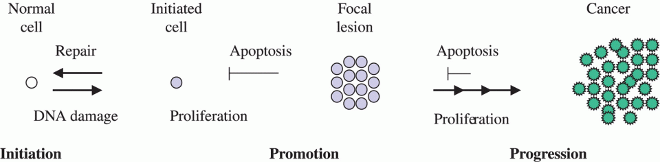 c15-fig-0004