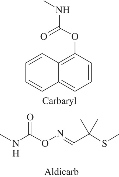 c17-fig-0002