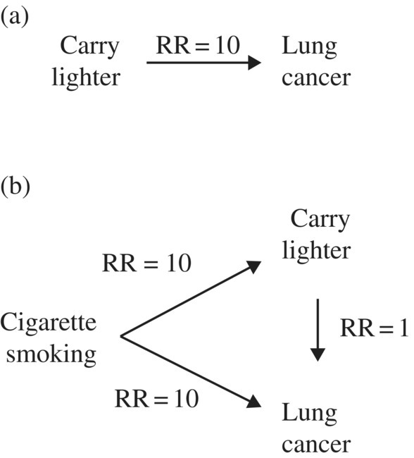 c21-fig-0004