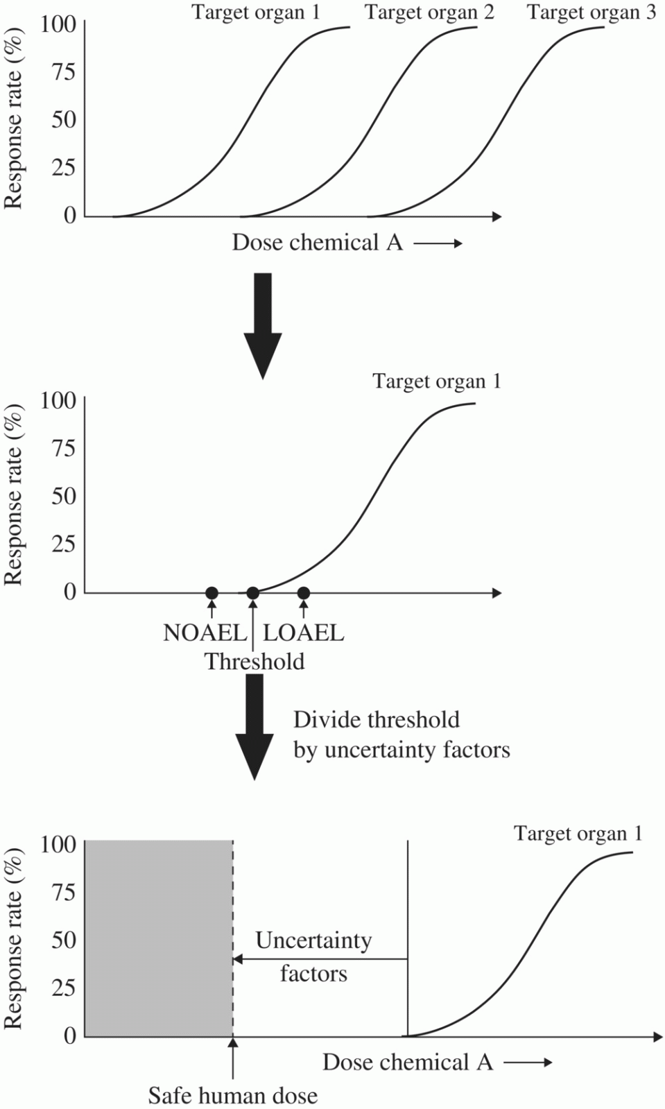 c23-fig-0002