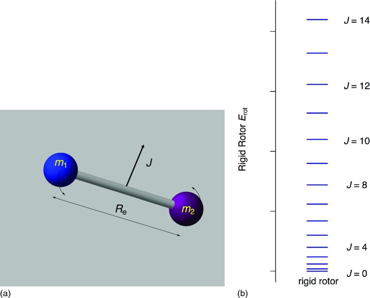 Image shows a rotor with two atoms m1 and m2 at a distance R sub( e) and rotational axis J and the energy level structure rotational axis 0 to 14.