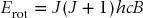 numbered Display Equation