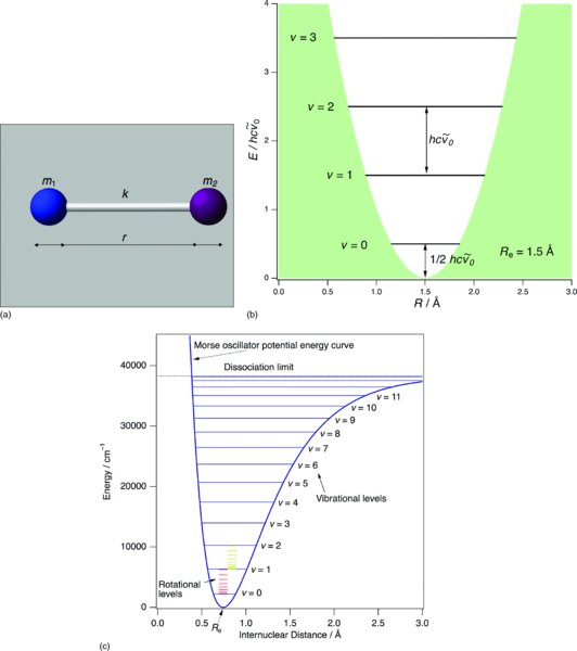 Image shows two atoms m1 and m2 at a distance of K at figure a, the harmonic oscillator energy curve for v values 0 to 3 at figure b and figure c shows Morse oscillator energy curve for v values 0 to 11 where rotational levels has smaller energy than vibrational levels.