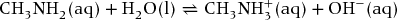 numbered Display Equation