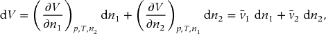 numbered Display Equation