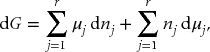 numbered Display Equation