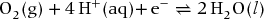 numbered Display Equation