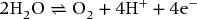 numbered Display Equation
