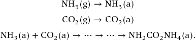 numbered Display Equation