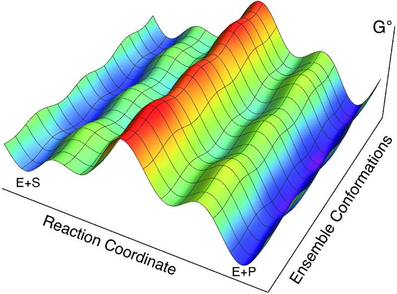 Gibbs energy versus reaction coordinate and ensemble conformations graph shows a hill-like three-dimensional curved surface.