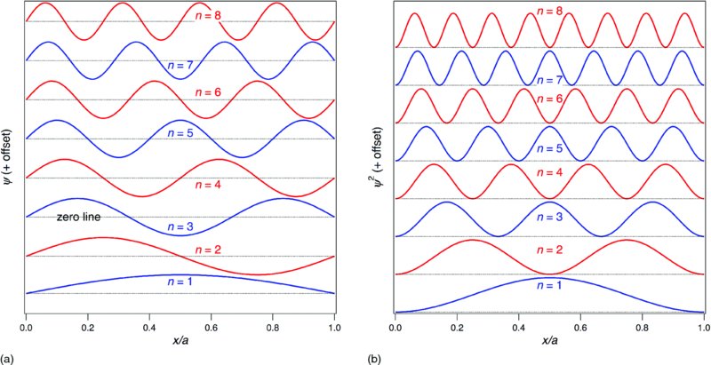 Left graph shows sine waves depicting the wavefunction psi for levels n equal to 1 to n equal to 8. Right graph shows sine waves depicting the square of the wavefunction for levels n equal to 1 to n equal to 8. 