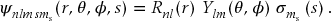 numbered Display Equation