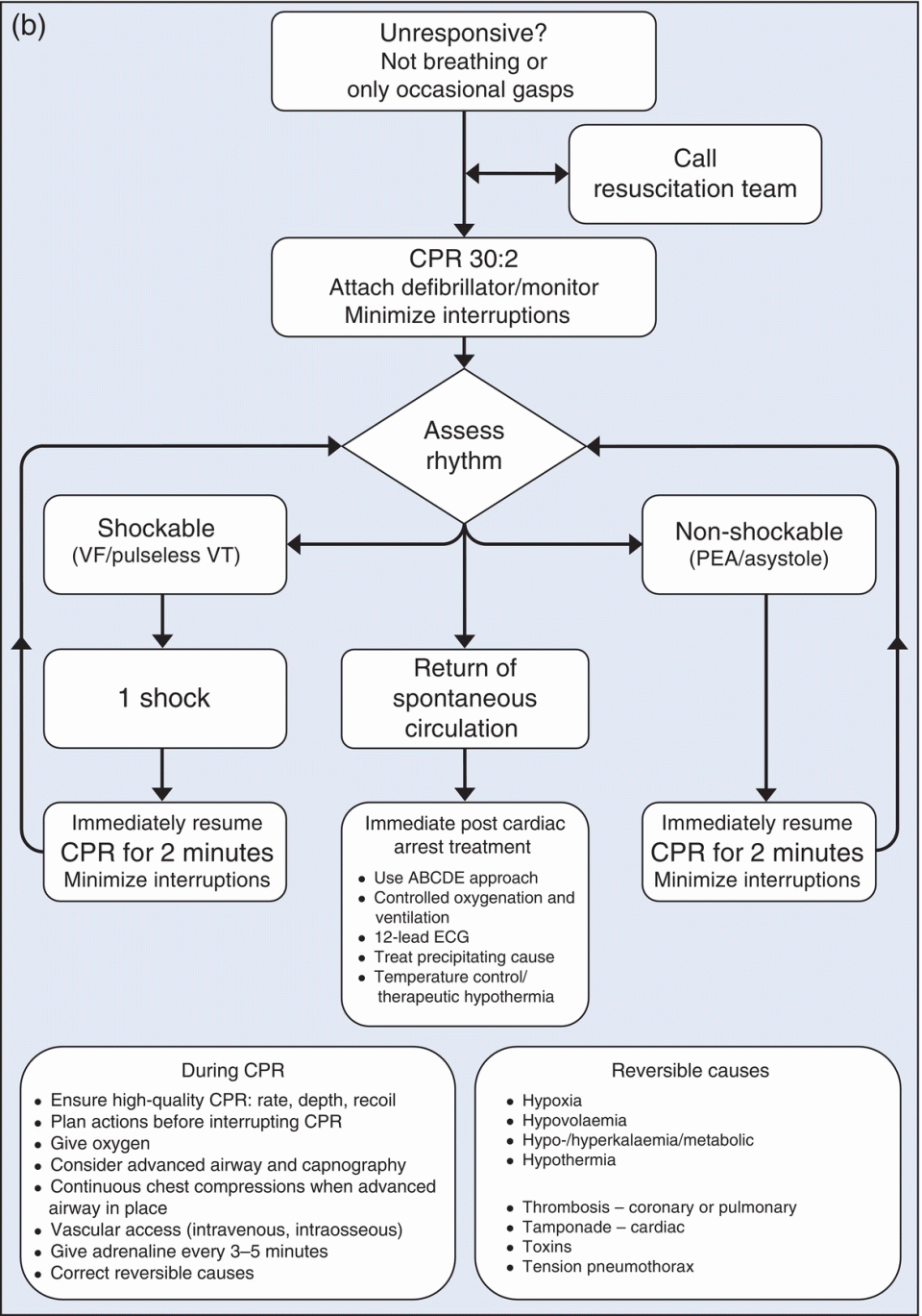 c7-fig-0001