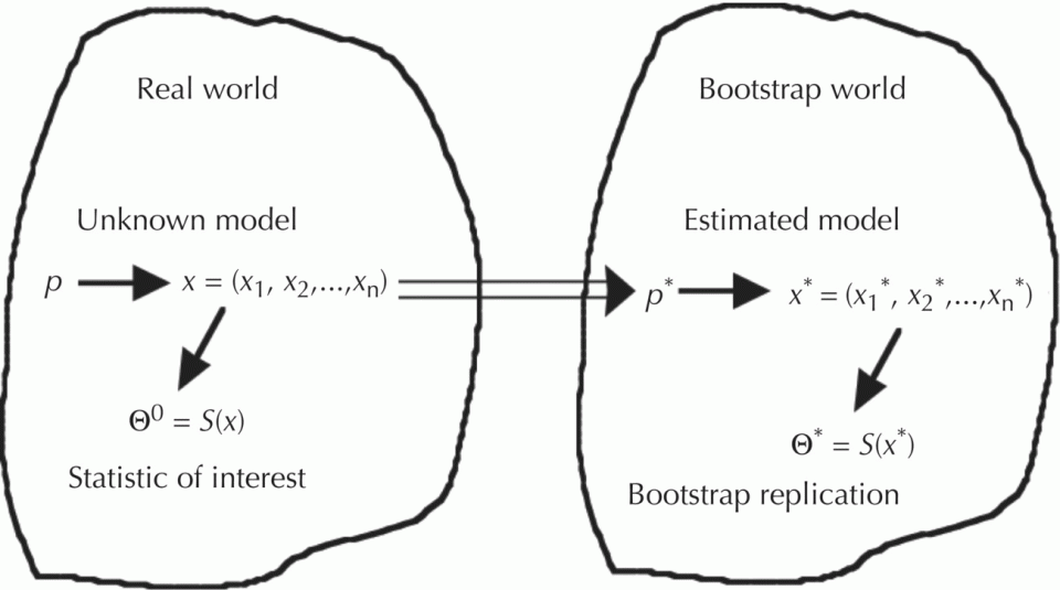 c9-fig-0003