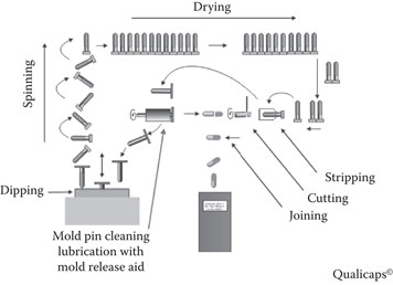 image fig4_3.jpg