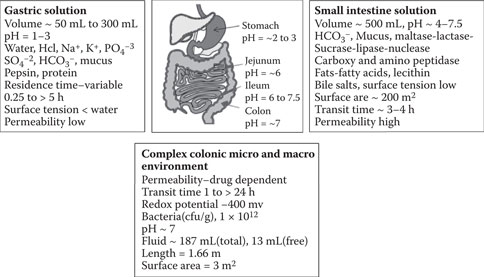 image fig12_3.jpg