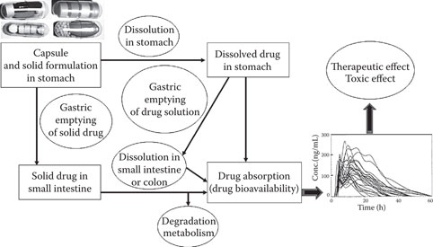 image fig12_5.jpg