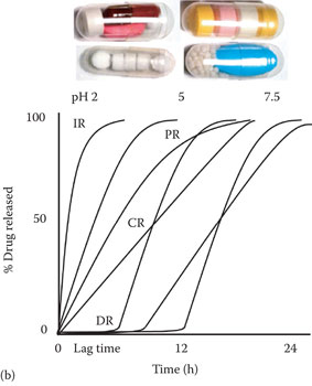 image fig12_7b.jpg