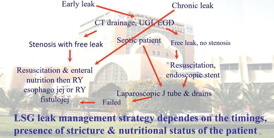 Schematic illustration of algorithm of sleeve gastrectomy leak treatment.