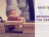 Bridging The Gap By Dr Scott Alpert Basic Steps Mental Health