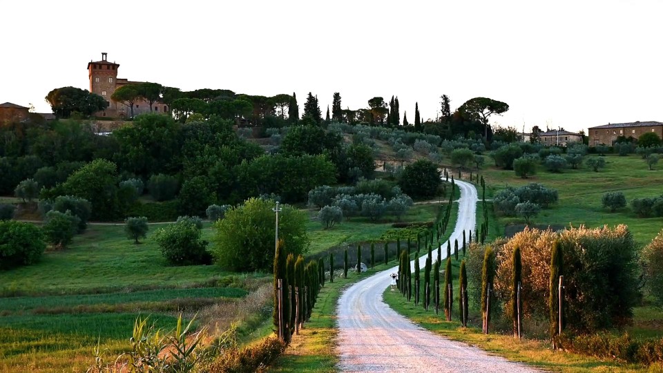 Image result for Tuscany Temptations: Embark on a Siena Wine Adventure from Florence infographics
