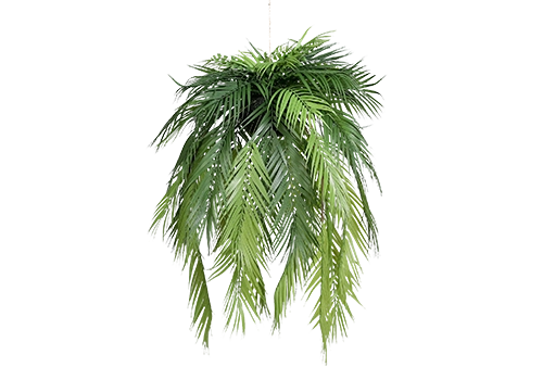 Planta