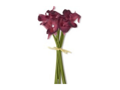 Flores