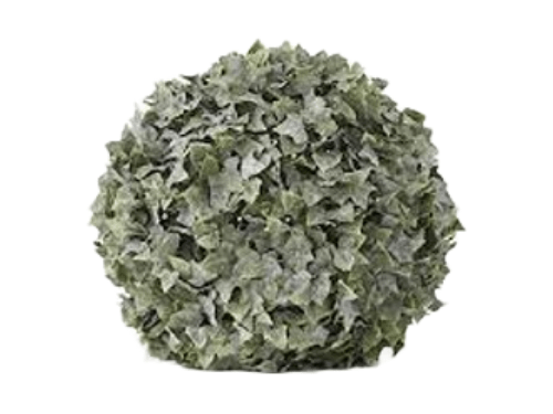Planta