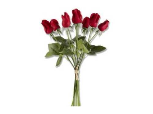 Flores