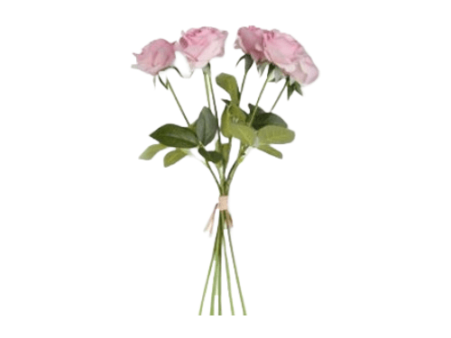 Flores