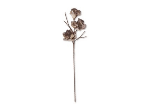 Flores